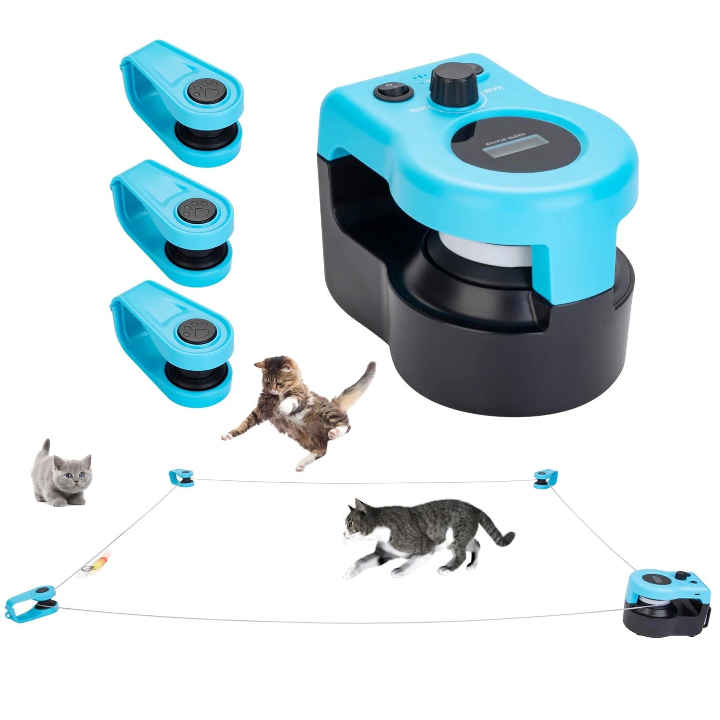 Playful Paws Toy